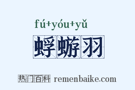 蜉蝣羽是什么意思的图片